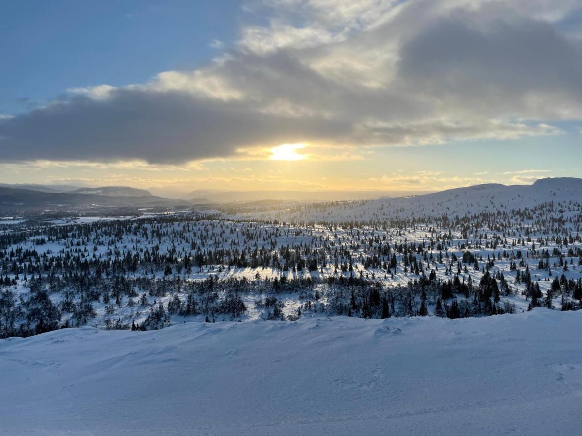 Bualie Golsfjellet Leilighet Eksteriør bilde